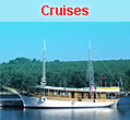 Cruises