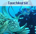 Tauchkurse