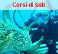 Corsi d'immersione subacquea